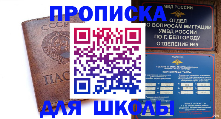 прописка для кредита в Полярных Зорях